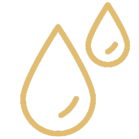 apa